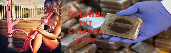 прущие грибы Аркадак