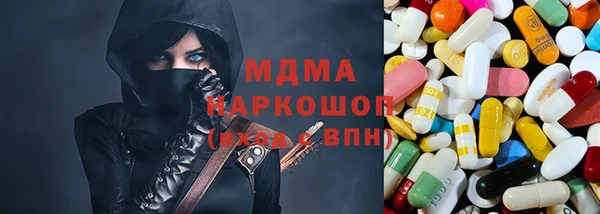 прущие грибы Аркадак