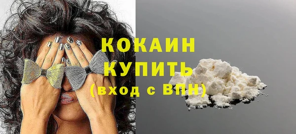 прущие грибы Аркадак